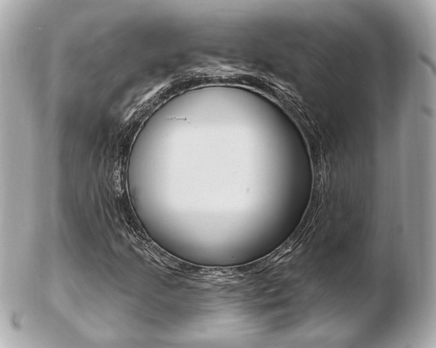 X0000103281205200808291038