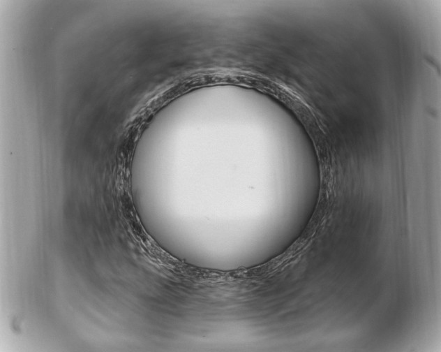 X0000103281207200808291038