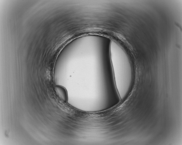 X0000103281209200808291038