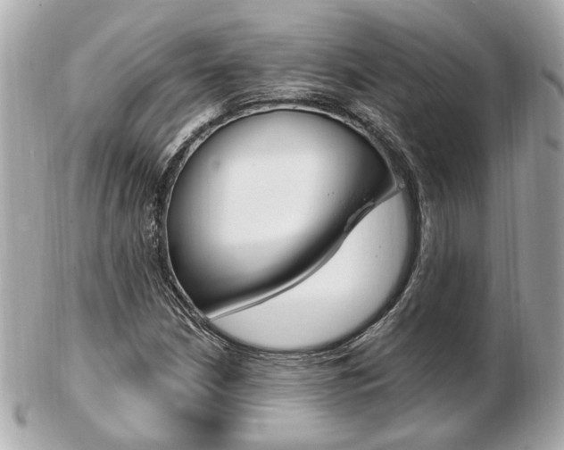 X0000103281210200808291038