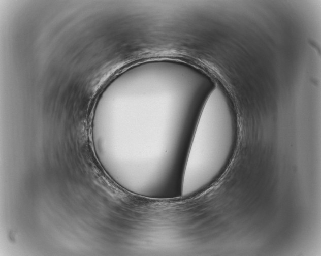 X0000103281212200808291038