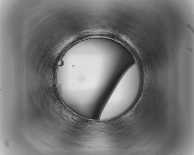 X0000103281213200808291038