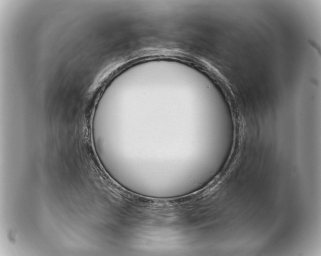 X0000103281215200808291038