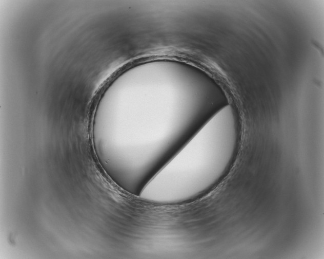 X0000103281216200808291038