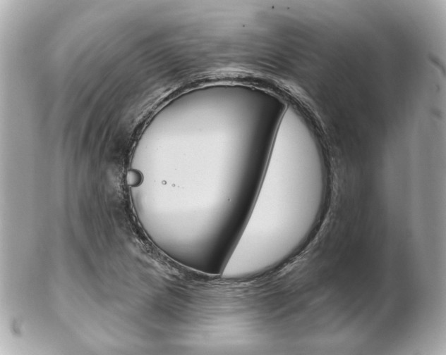 X0000103281217200808291038