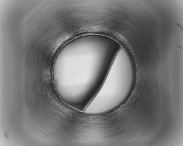 X0000103281218200808291038