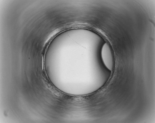 X0000103281219200808291038