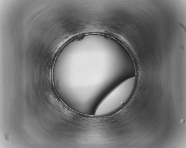 X0000103281220200808291038
