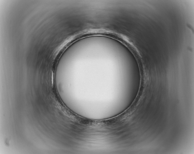 X0000103281221200808291038
