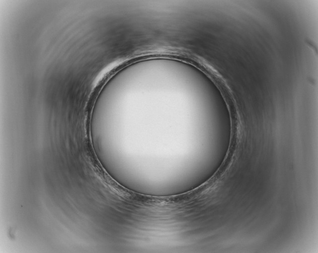 X0000103281222200808291038