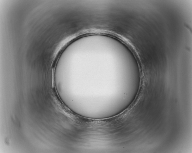 X0000103281223200808291038