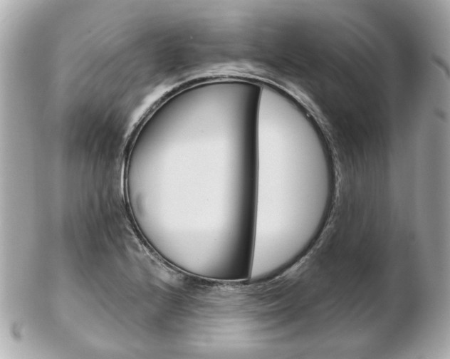 X0000103281224200808291038