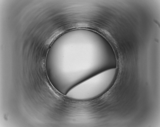 X0000103281225200808291038