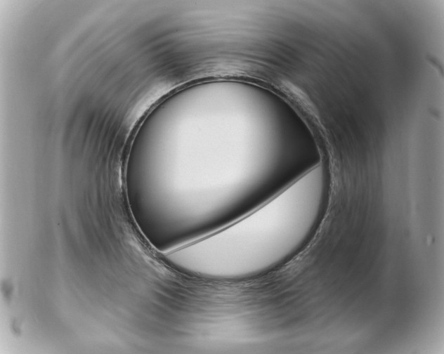 X0000103281226200808291038