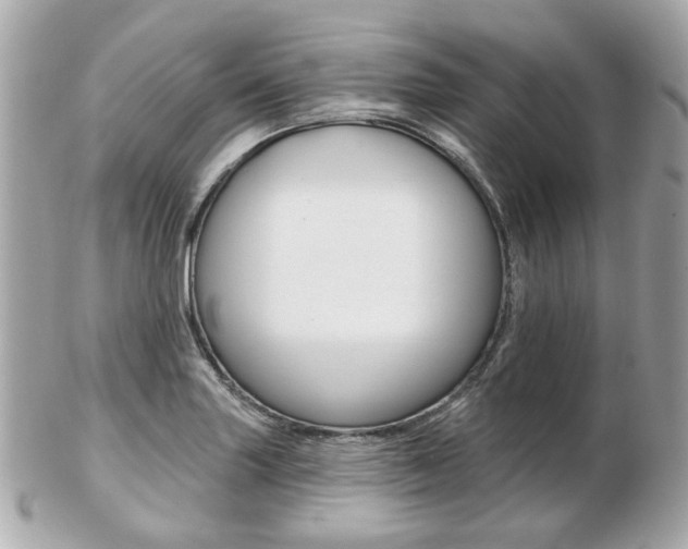 X0000103281227200808291038