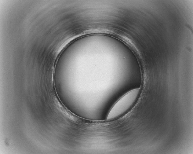 X0000103281228200808291038