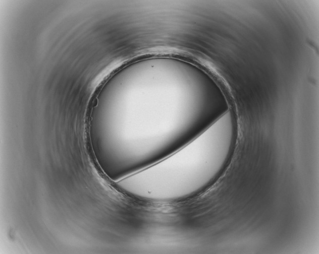 X0000103281229200808291038