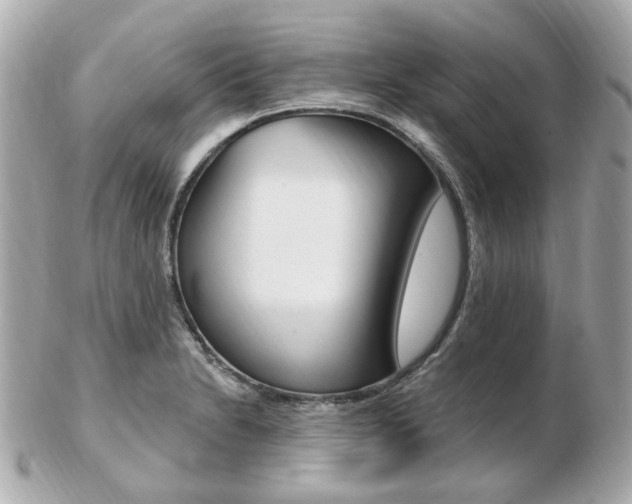 X0000103281230200808291038