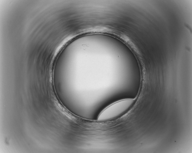 X0000103281232200808291038