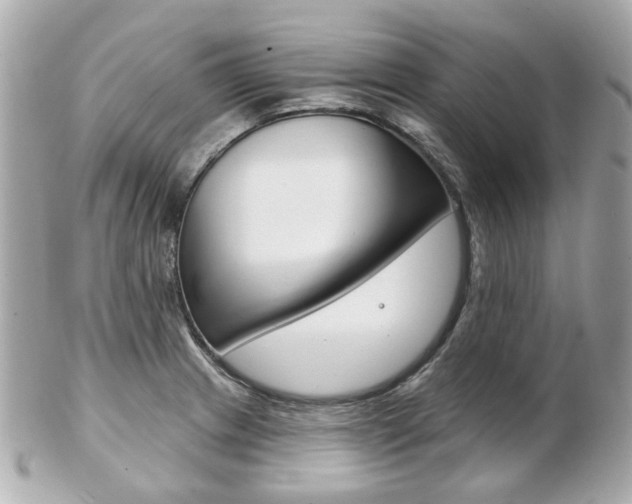X0000103281233200808291038