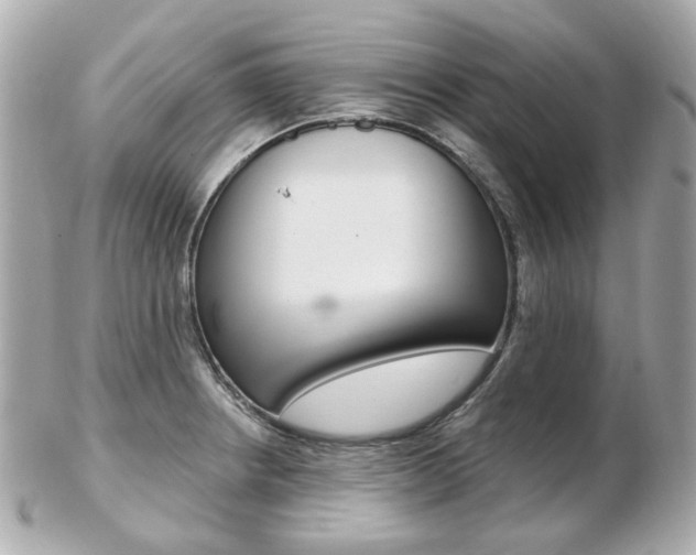 X0000103281234200808291038
