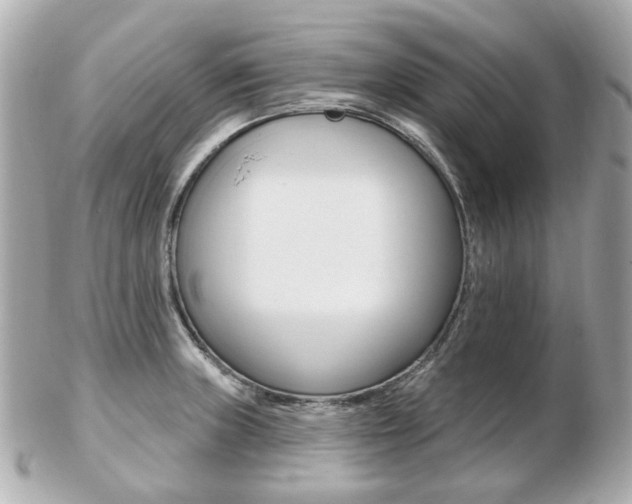 X0000103281235200808291038