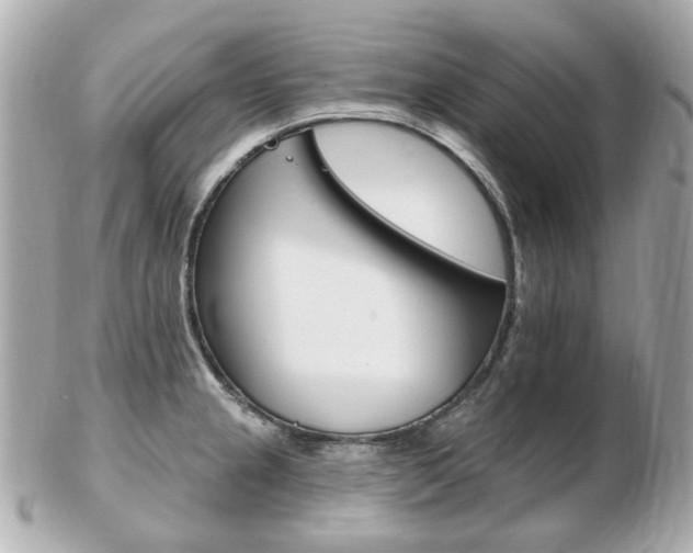 X0000103281237200808291038