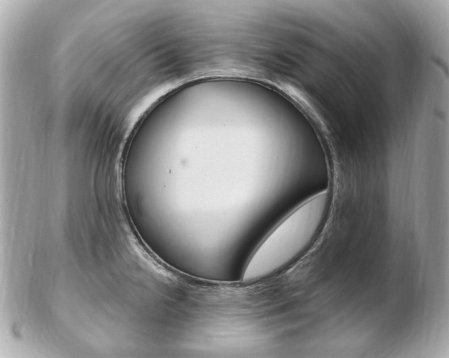 X0000103281238200808291038