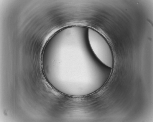 X0000103281240200808291038