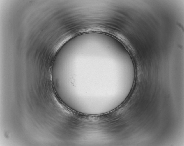X0000103281241200808291038