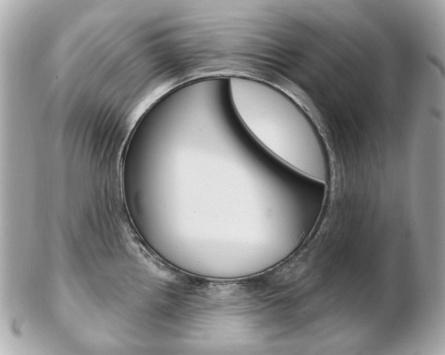X0000103281242200808291038