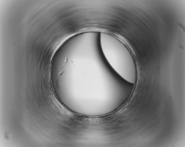 X0000103281244200808291038