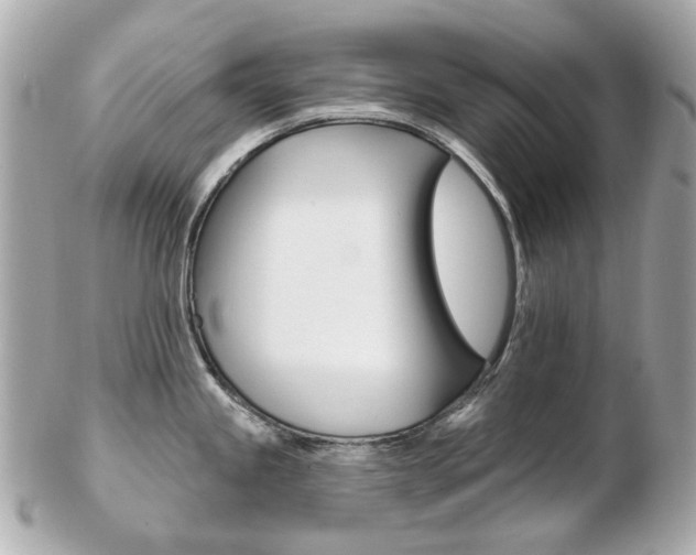 X0000103281245200808291038