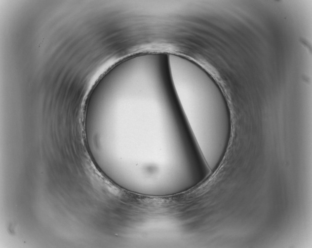 X0000103281248200808291038