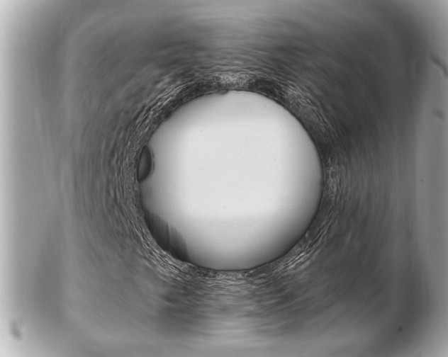 X0000103281249200808291038