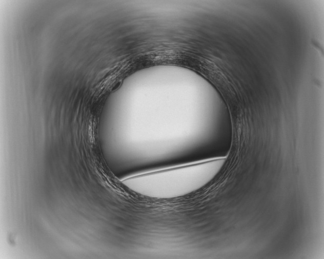 X0000103281250200808291038