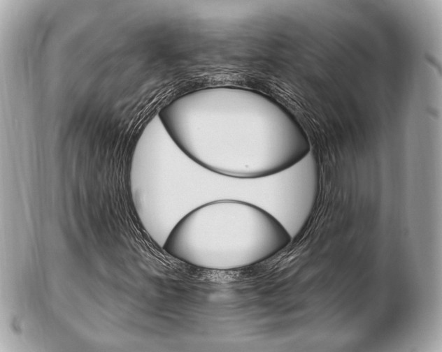 X0000103281251200808291038