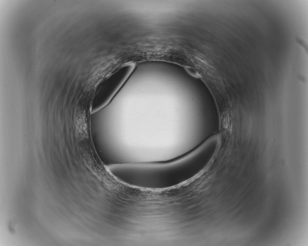 X0000103281252200808291038