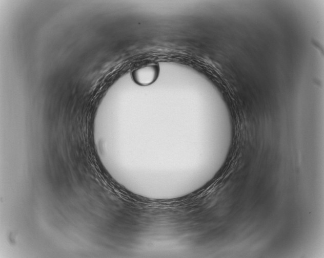 X0000103281253200808291038