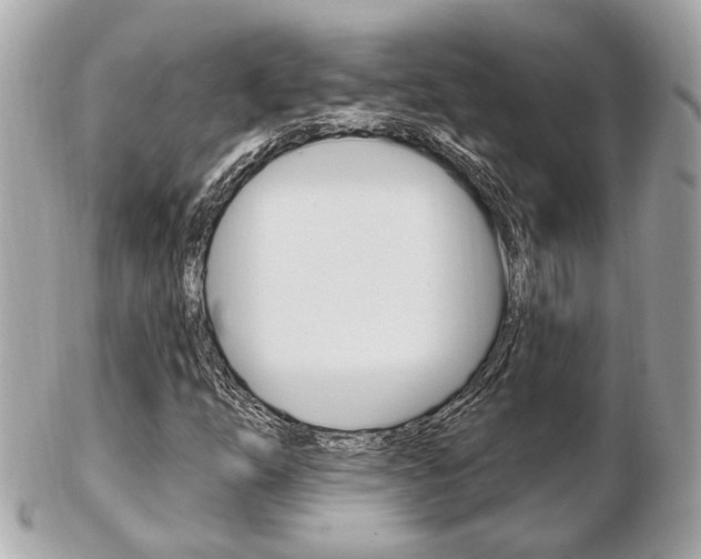 X0000103281254200808291038