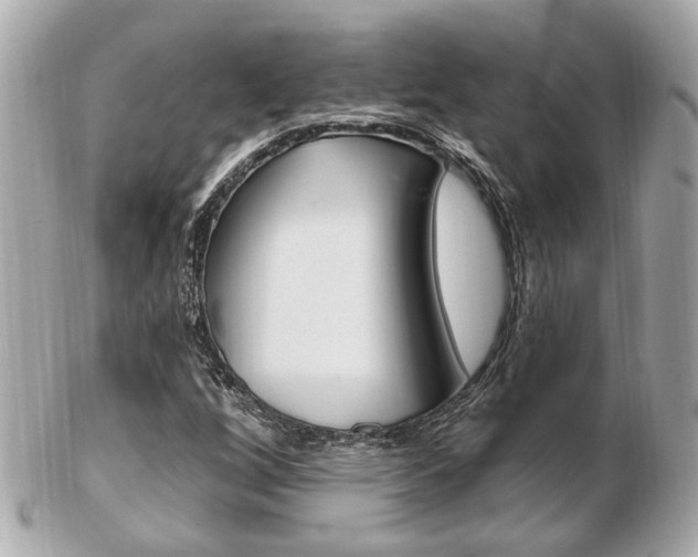 X0000103281256200808291038