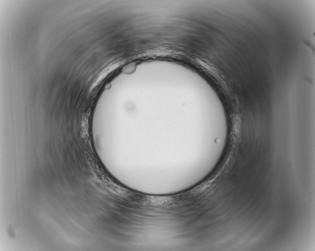 X0000103281258200808291038