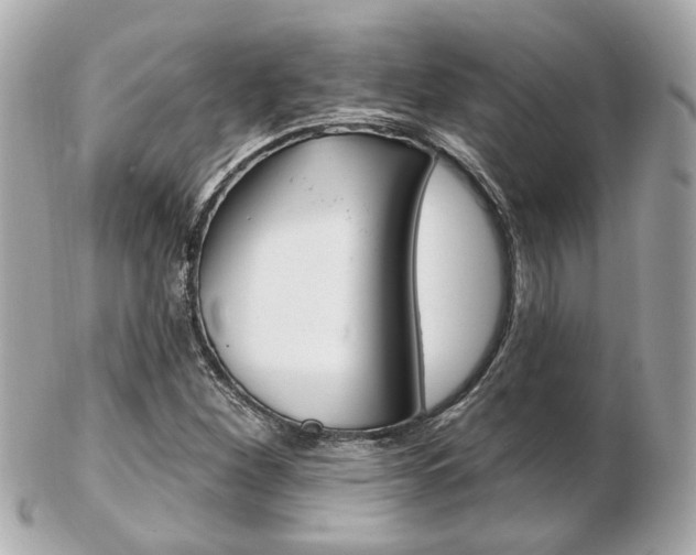X0000103281260200808291038