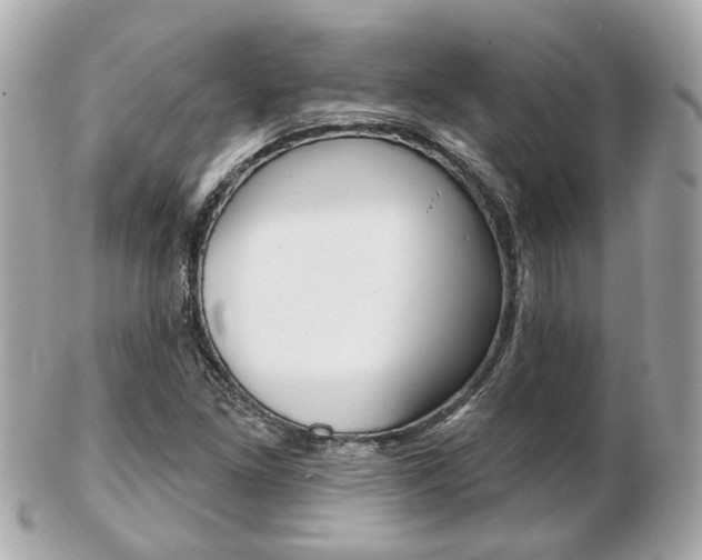 X0000103281261200808291038