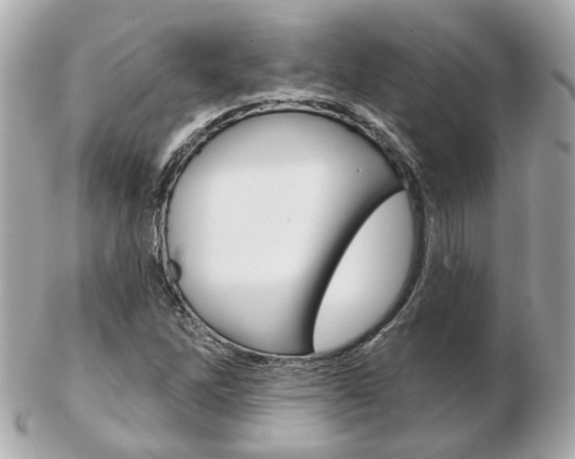 X0000103281262200808291038