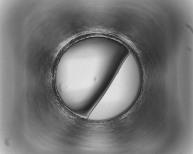 X0000103281264200808291038