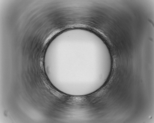 X0000103281266200808291038