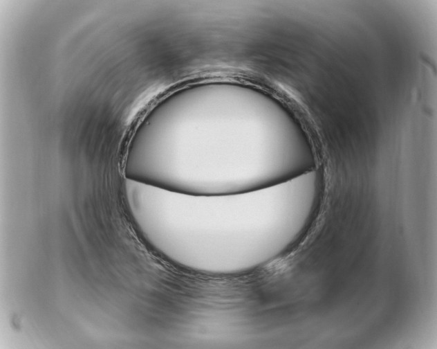 X0000103281267200808291038