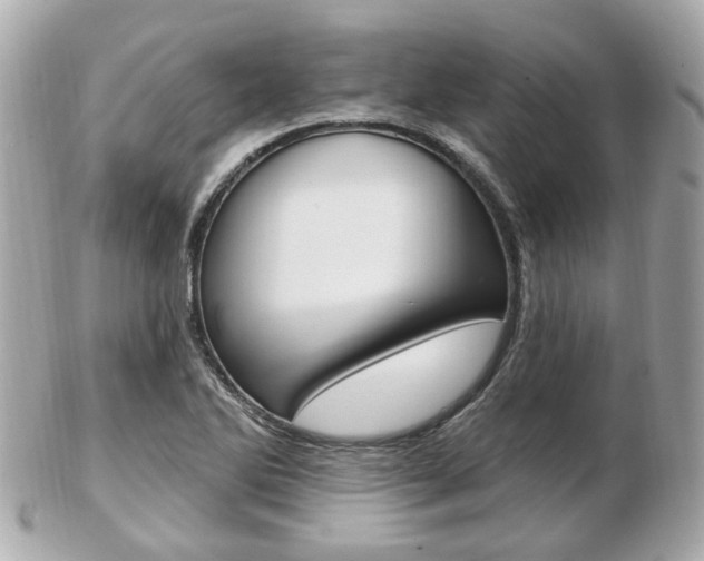X0000103281270200808291037