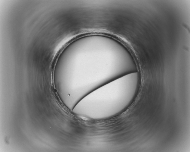 X0000103281271200808291037